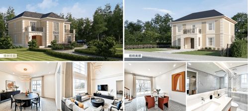 遠大住工 建筑工業化進入產品時代