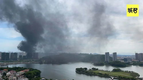 突發(fā) 陽江某建筑突起大火