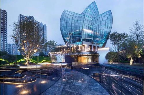 徐州 新朋友 之新希望 有人跨界去養(yǎng)豬,有人跨界賣房子