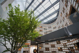 建業(yè)新筑劍指綠博標(biāo)桿，又一“筑”系列產(chǎn)品入市